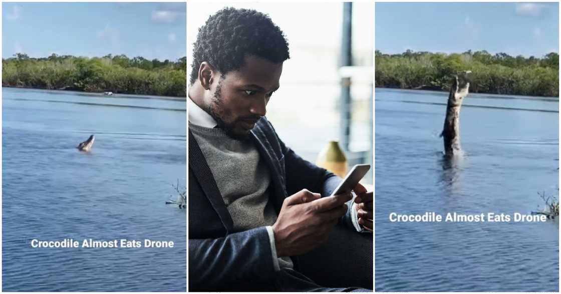 Photos of crocodile attempting to eat drone Photos of crocodile attempting to eat drone