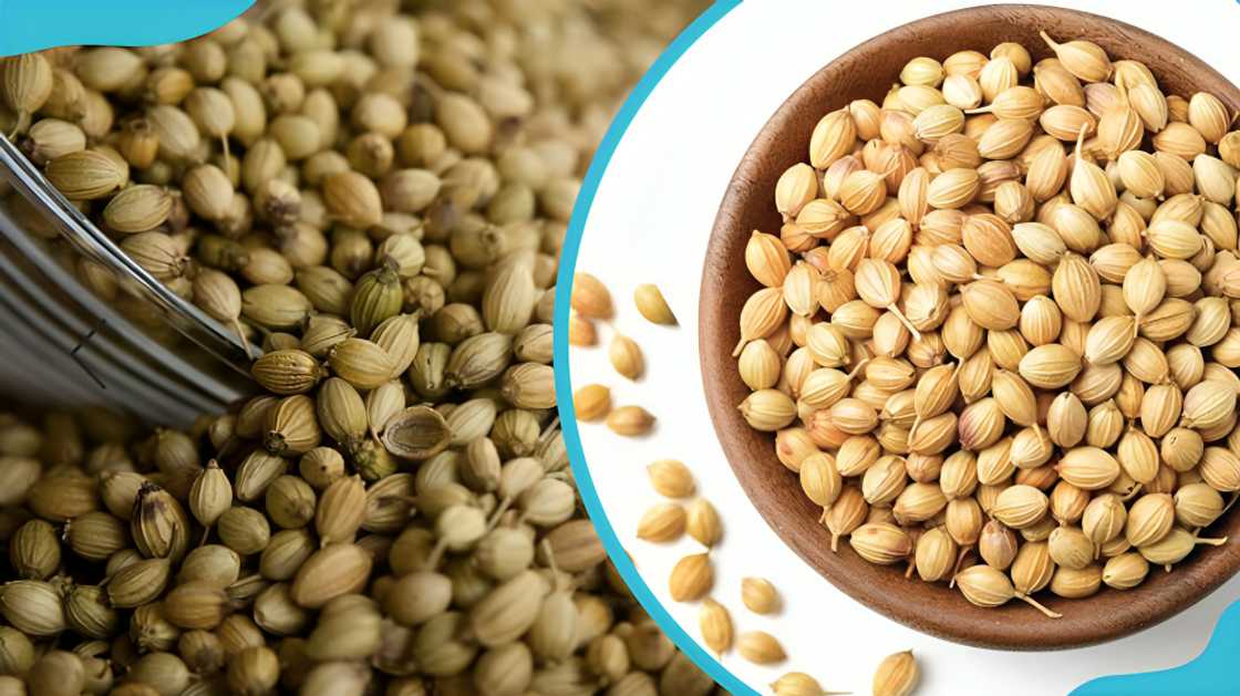 spices in Ghana spices in Ghana