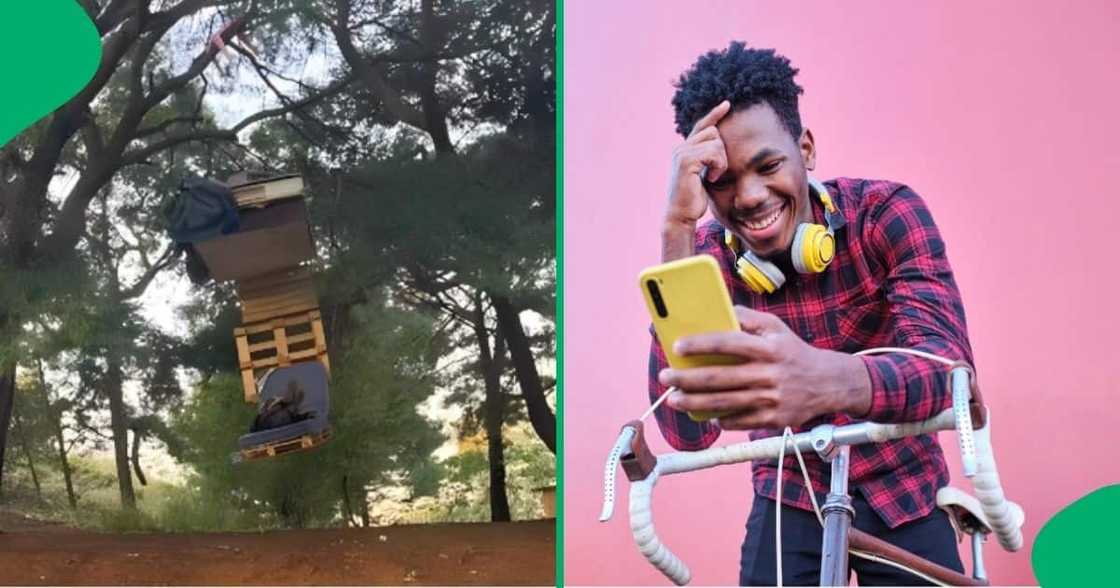 Man's bed hangs from a tree and internet users are confused after seeing it. Man's bed hangs from a tree and internet users are confused after seeing it.