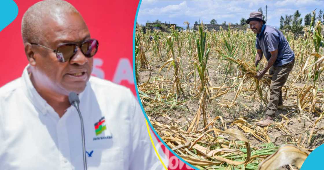 Mahama has blamed the Akufo-Addo government for the drought in the north Mahama has blamed the Akufo-Addo government for the drought in the north