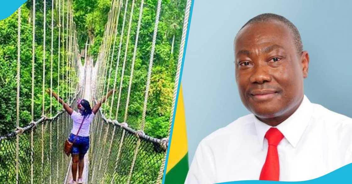 Kakum National Park Not Earmarked For Mining: Minerals Commission Breaks Down The Issues Kakum National Park Not Earmarked For Mining: Minerals Commission Breaks Down The Issues