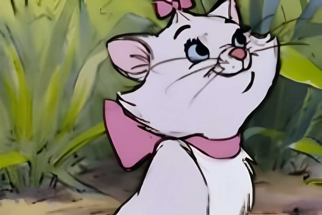 Marie is looking up next to a vegetation Marie is looking up next to a vegetation