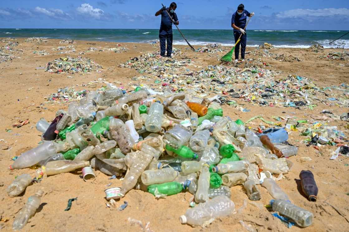 Some fear confusion over biodegradable plastics could lead to littering Some fear confusion over biodegradable plastics could lead to littering