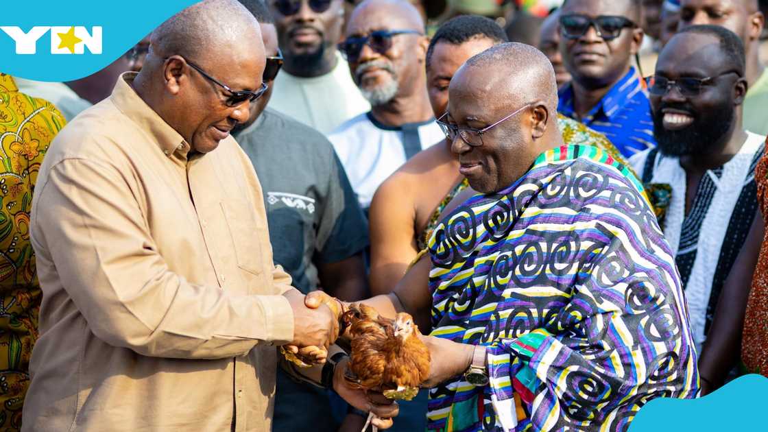 Mahama Launches Nkoko Nkitinkiti With Bold 2028 Target to Raise Poultry Sufficiency to 75 percent