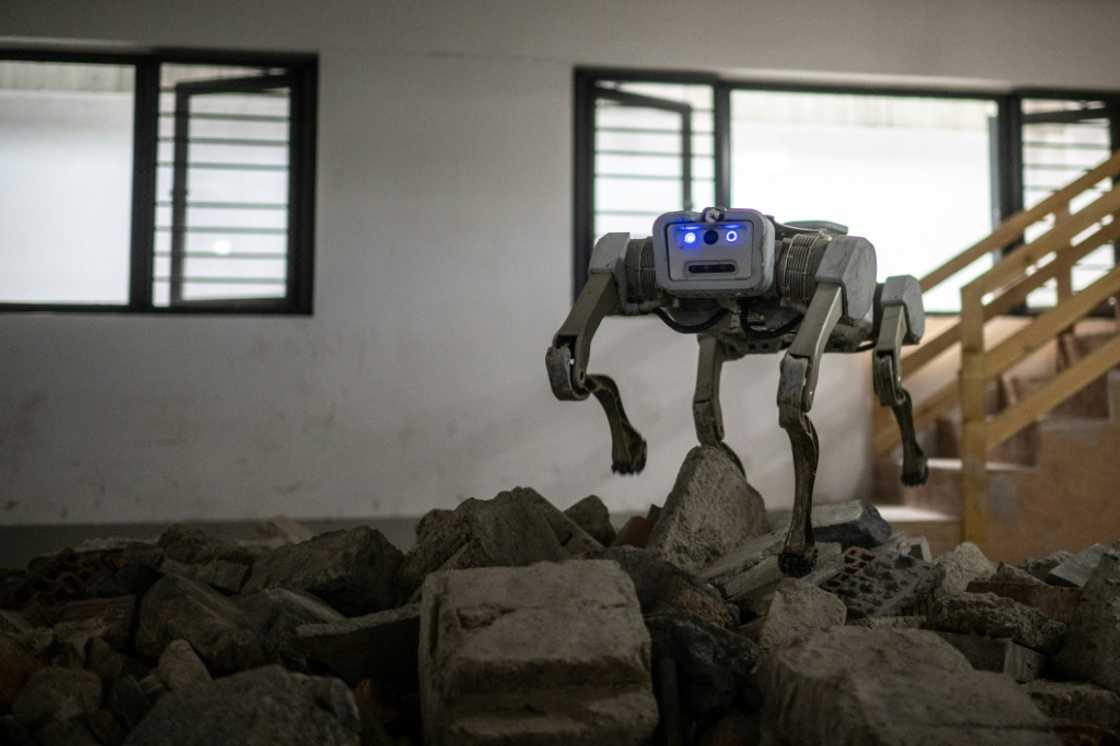A robot dog tramples over rubble in a demonstration A robot dog tramples over rubble in a demonstration