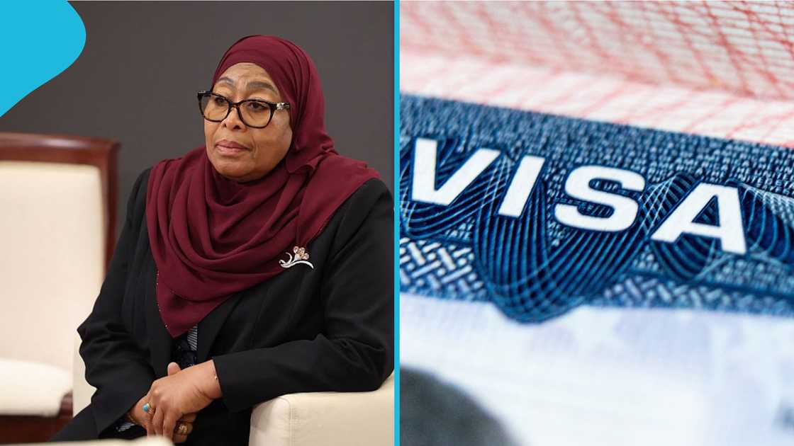 Tanzania visa policy, Nigerian citizens travelling to Tanzania, Tanzania visa application, Nigerians removed from Tanzania referred visa category, Tanzania Immigration Services Department, Tanzania Government Gazette 246 of 2026 Tanzania visa policy, Nigerian citizens travelling to Tanzania, Tanzania visa application, Nigerians removed from Tanzania referred visa category, Tanzania Immigration Services Department, Tanzania Government Gazette 246 of 2026