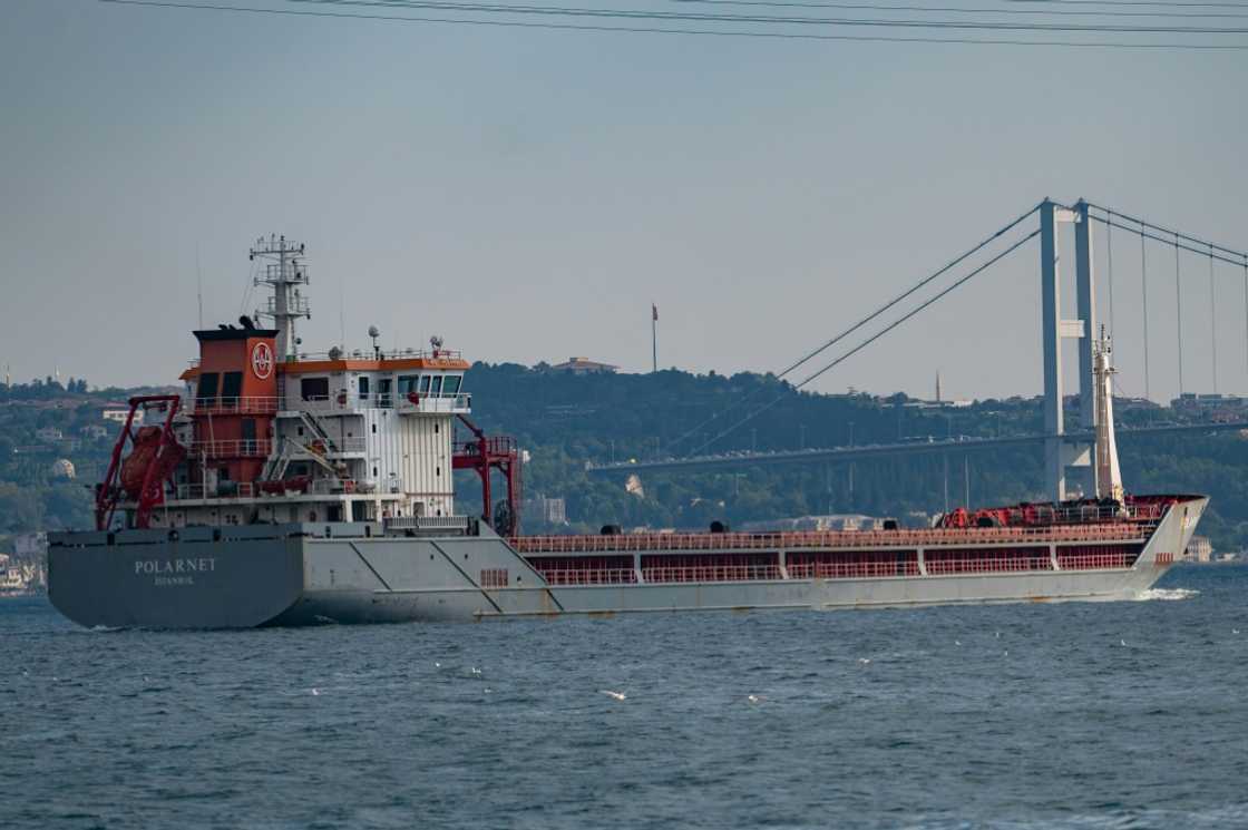 The Polarnet, seen here in the Bosphorus at Istanbul, is carrying 12,000 tonnes of corn The Polarnet, seen here in the Bosphorus at Istanbul, is carrying 12,000 tonnes of corn