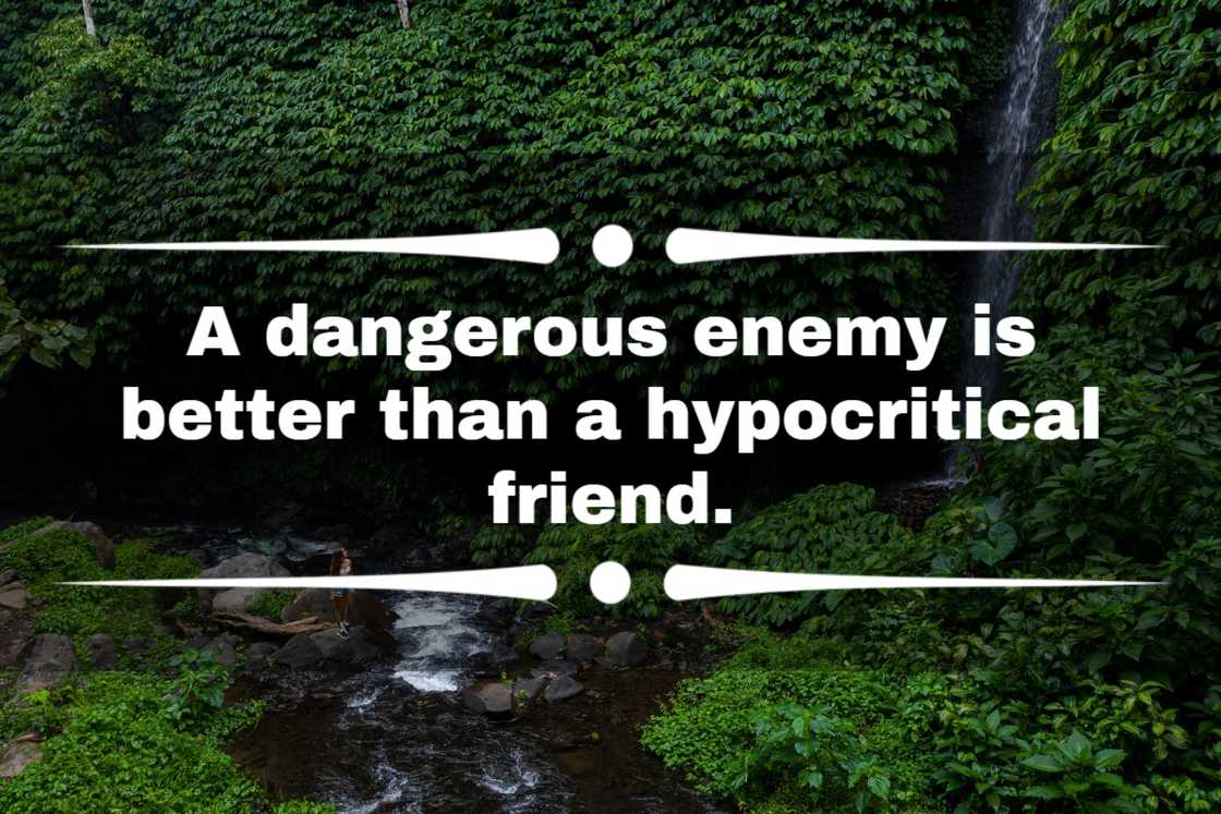 quotes about hypocrites