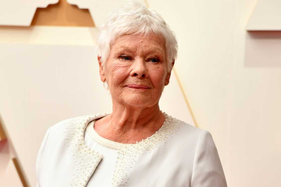 British actress Judi Dench is among the celebrity voices used by Meta's new AI voice chatbot programs