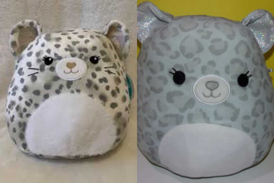 Brigita the Cheetah is on a white background, and she is standing against a yellow wall Brigita the Cheetah is on a white background, and she is standing against a yellow wall