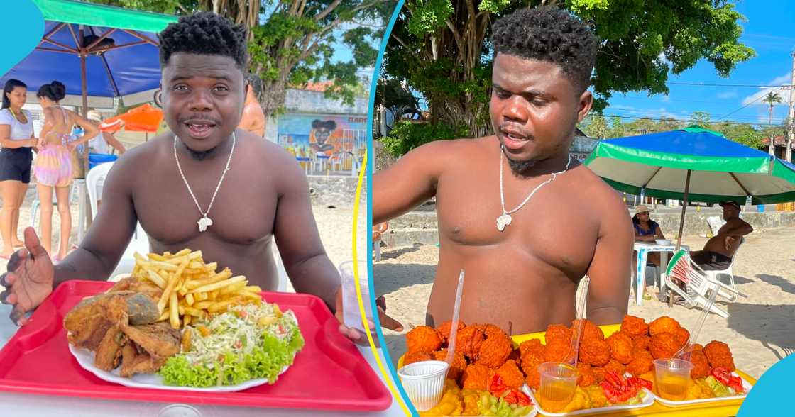 Wode Maya eating Wode Maya eating