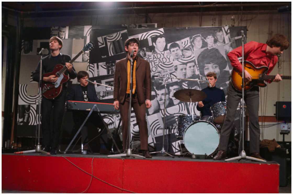 The Animals during a performance The Animals during a performance