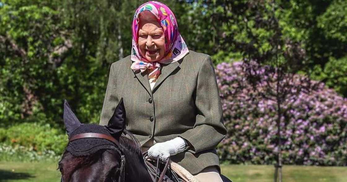 Queen Elizabeth II Saddened after Death of Puppy Gifted to Her