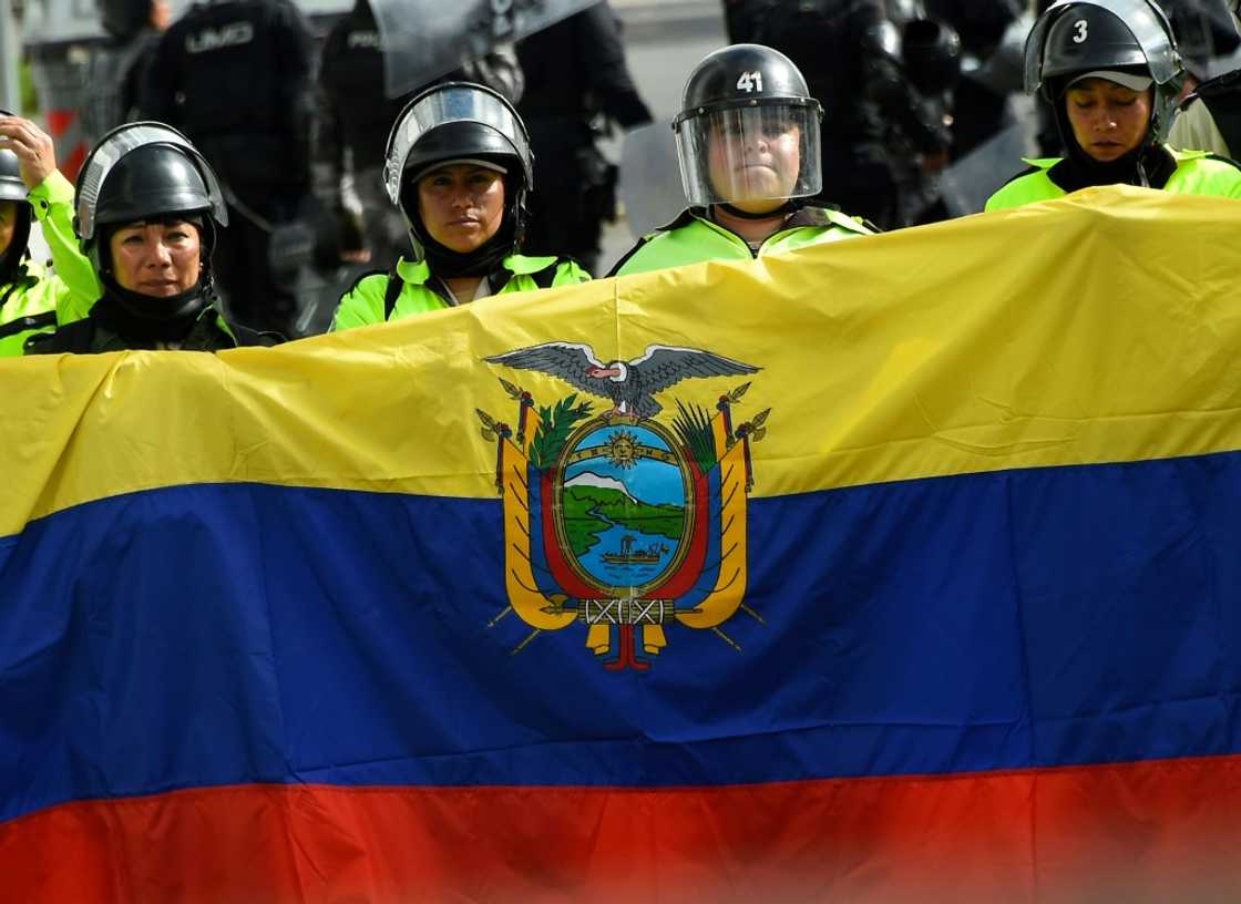 The protesters want jobs, food price controls, and more public spending on healthcare and education The protesters want jobs, food price controls, and more public spending on healthcare and education