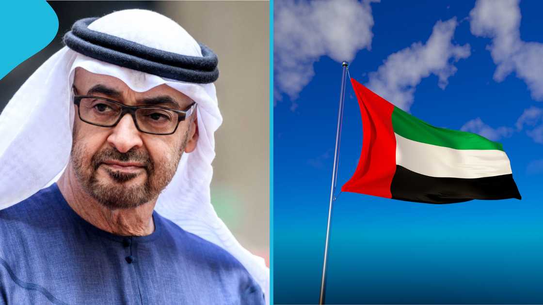 UAE residence visa, minimum age requirement UAE, foreigners residence visa UAE, UAE immigration rules, 18 years old visa requirement, applying for UAE visa, UAE government's official website, residency eligibility UAE, visa application process UAE