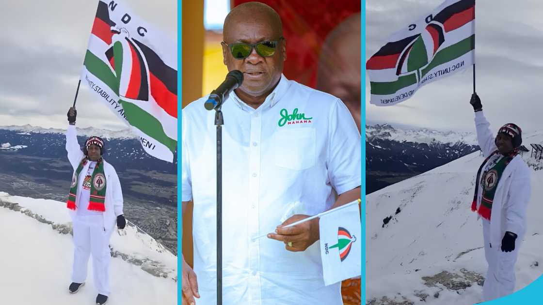 John Dramani Mahama, President-elect, Ghana's 2024 election, Ghanaian man living abroad