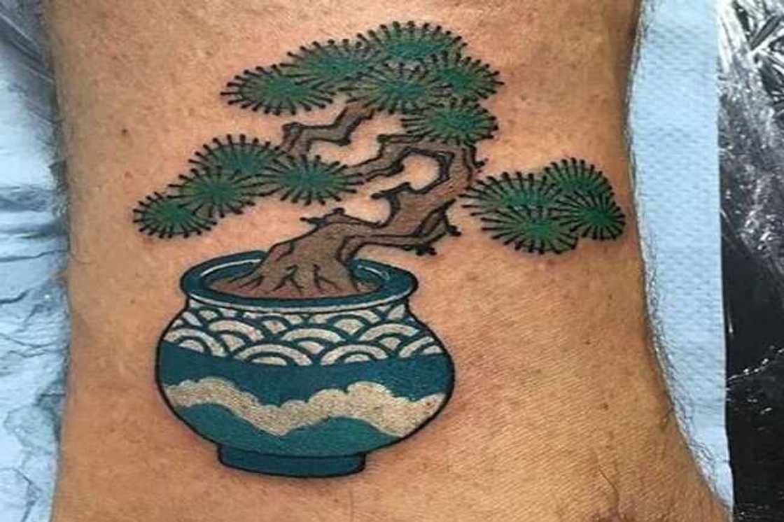 tree of life tattoo ideas tree of life tattoo ideas