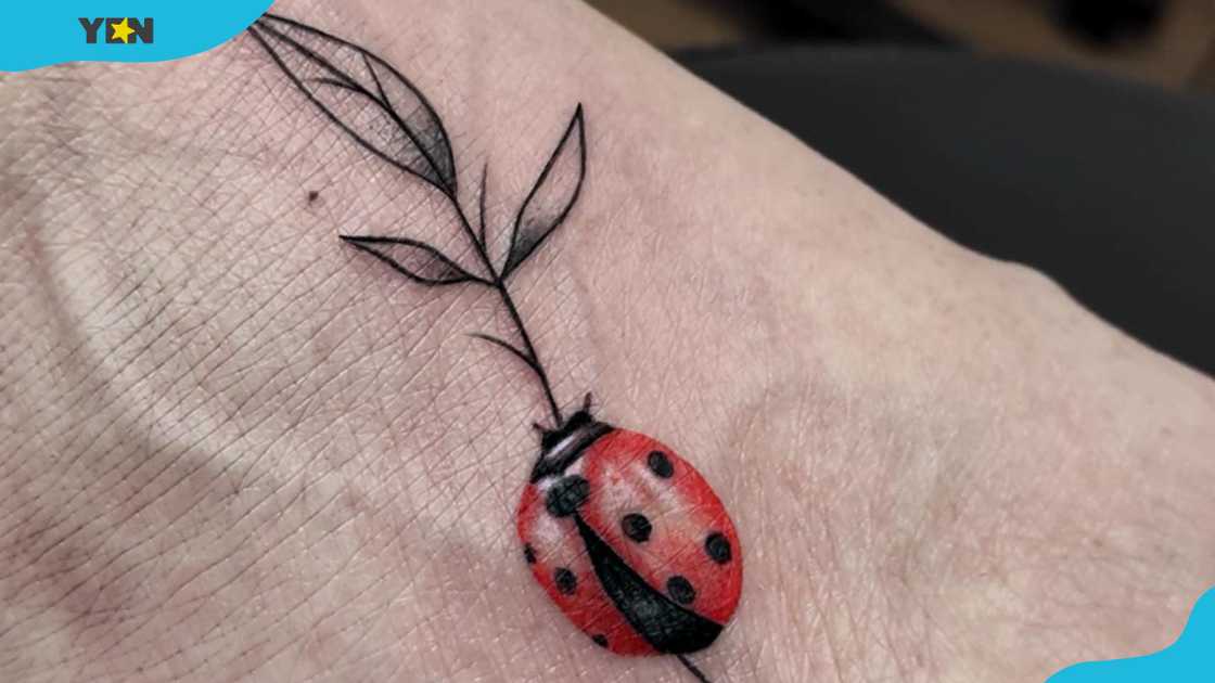 A delicate ladybug tattoo on the foot