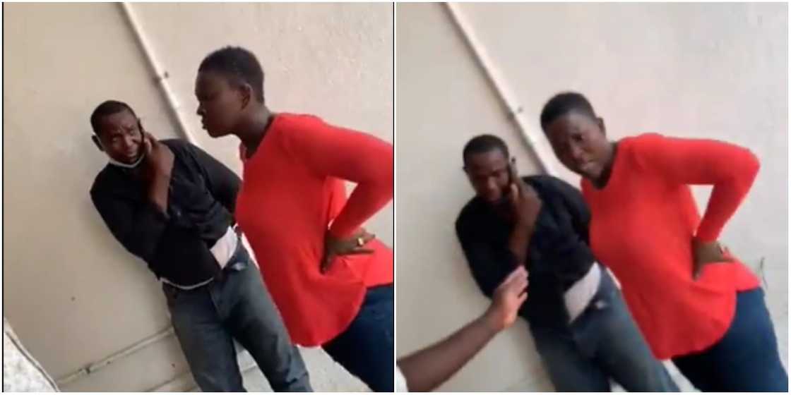 Fake agent who scammed lady caught Fake agent who scammed lady caught