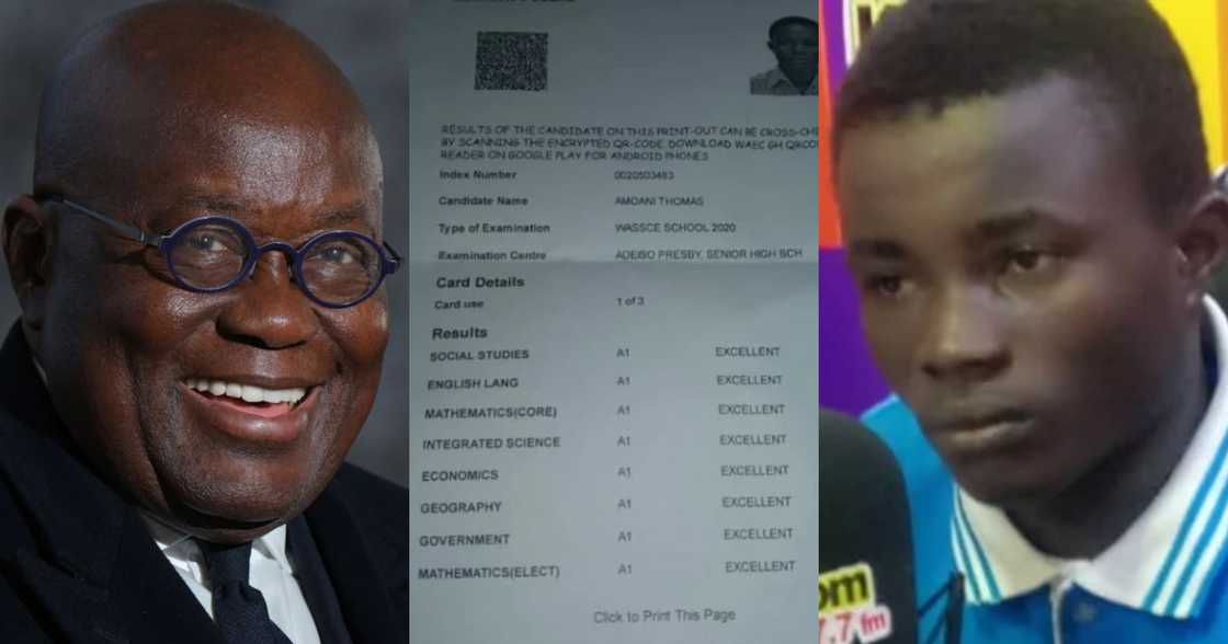 Thomas Amoaning: Adeiso SHS boy with 8As in WASSCE to study in UK after Akufo-Addo intervention