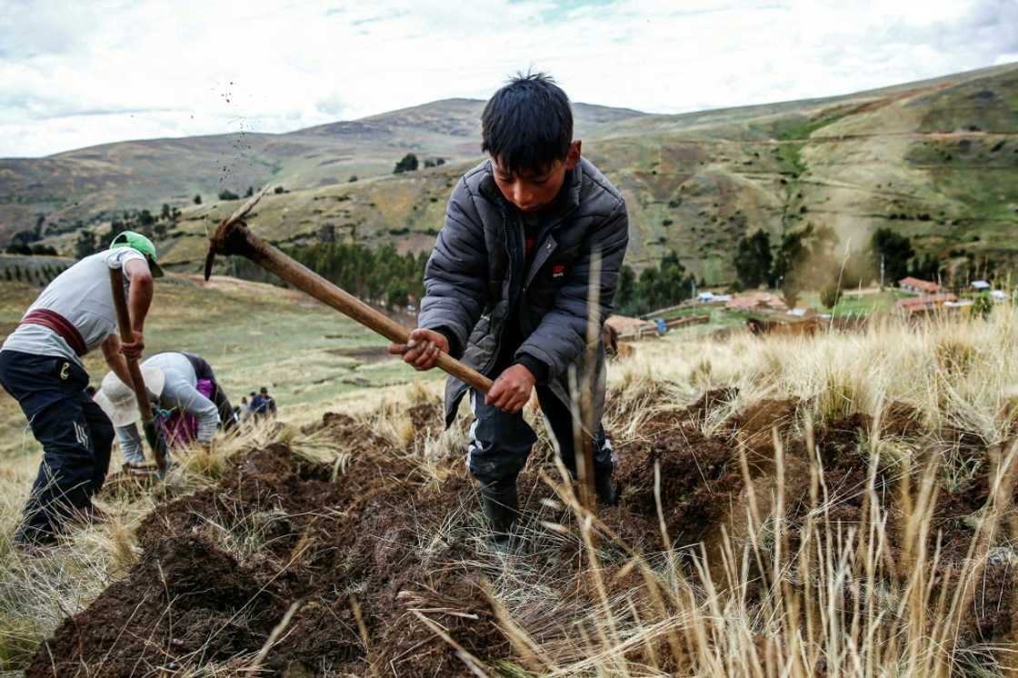 People born in Peru after 2000 will experience nine El Nino events over their lifetime -- three times as many as their parents.