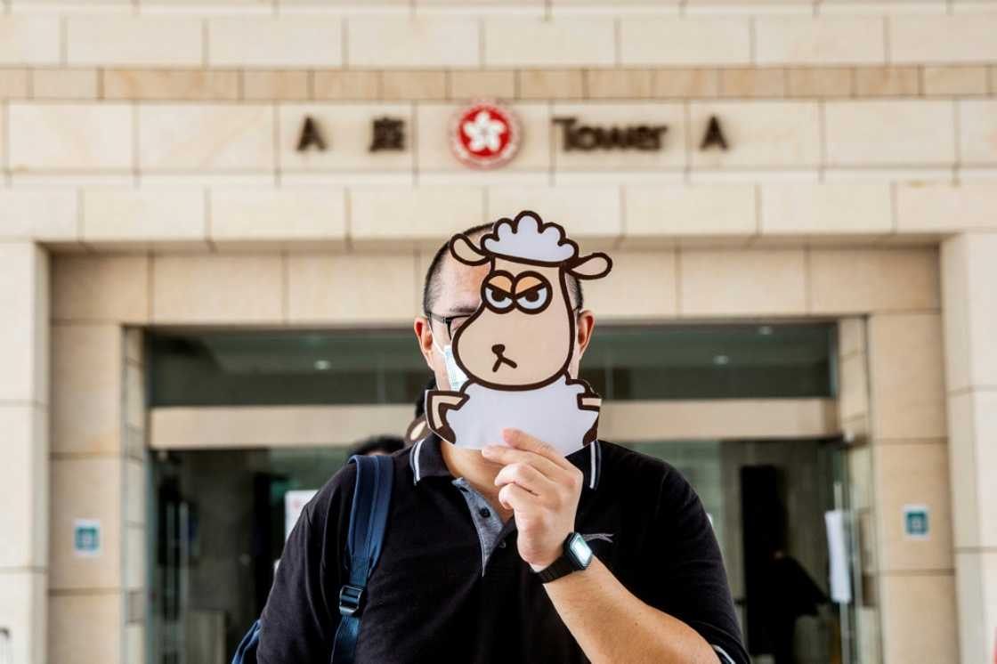 The books portrayed democracy supporters as sheep facing wolves The books portrayed democracy supporters as sheep facing wolves