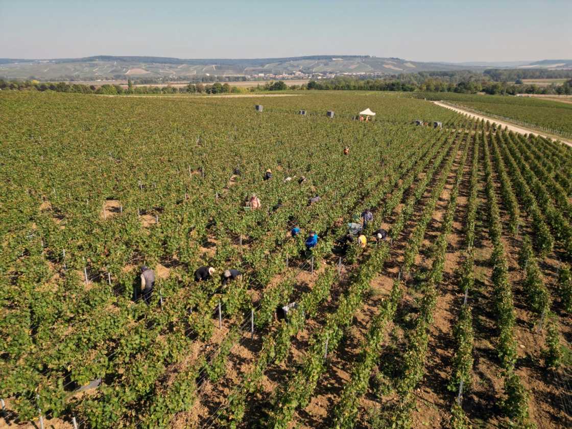 More than 50 migrant harvesters lived in accommodation that posed a danger to their 'security, health and dignity', according to investigators