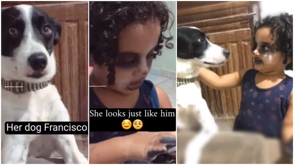 Her video made many people laugh online. Her video made many people laugh online.