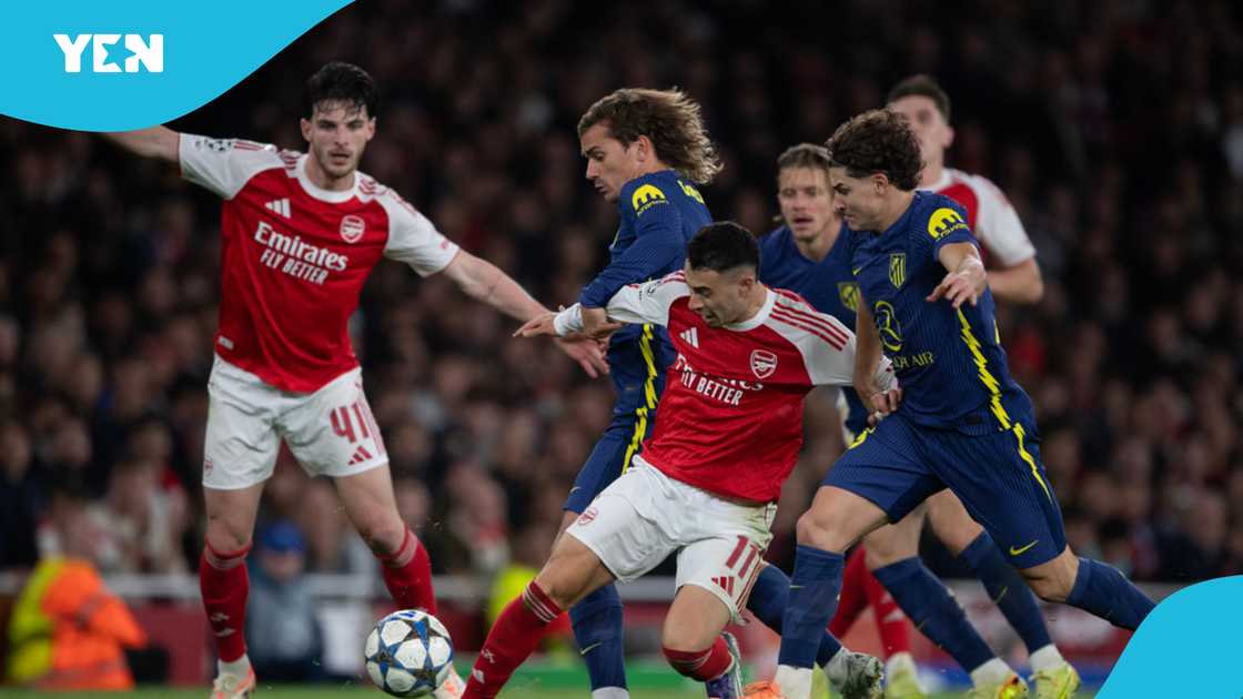 Atletico vs Arsenal: Cat with Near Perfect Record Predicts Champions League SF Winner Atletico vs Arsenal: Cat with Near Perfect Record Predicts Champions League SF Winner