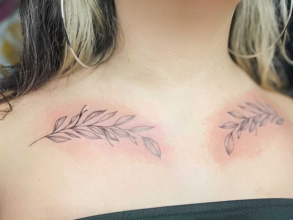 Simple leaves collarbone tattoo