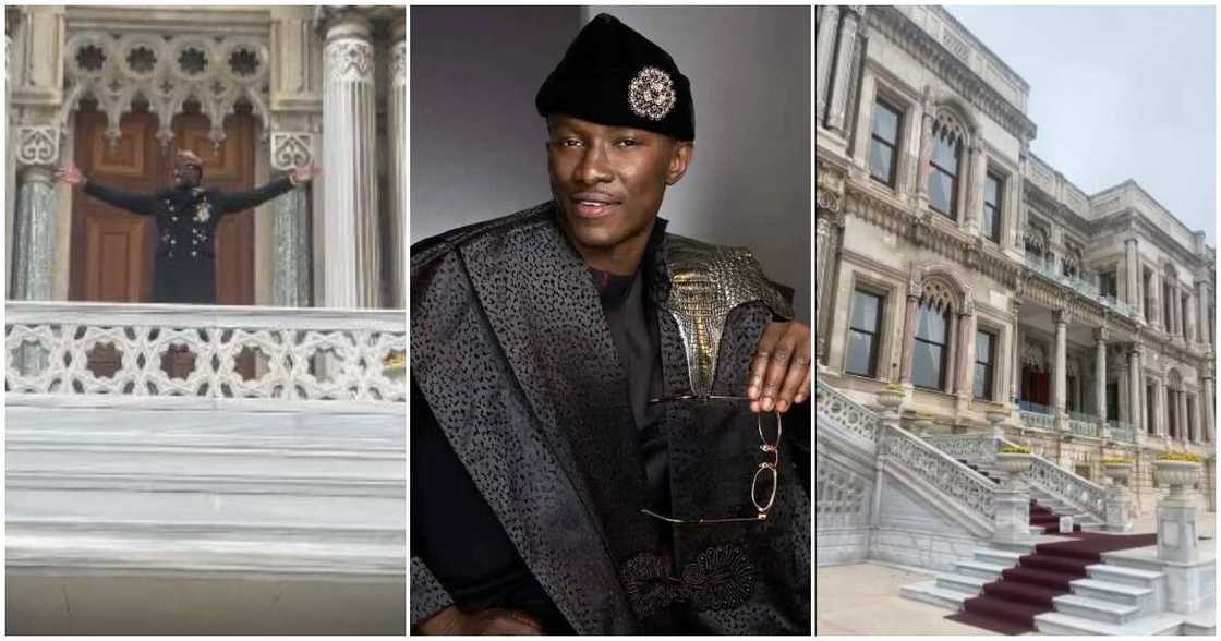 Cheddar and a huge building Cheddar and a huge building