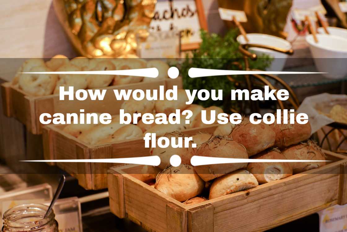 bread puns