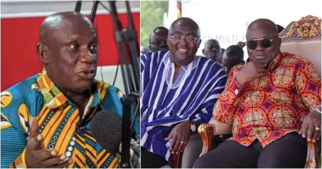 Nana Obiri Boahen has said Bawumia is next to the lead the NPP after Akufo-Addo. Nana Obiri Boahen has said Bawumia is next to the lead the NPP after Akufo-Addo.