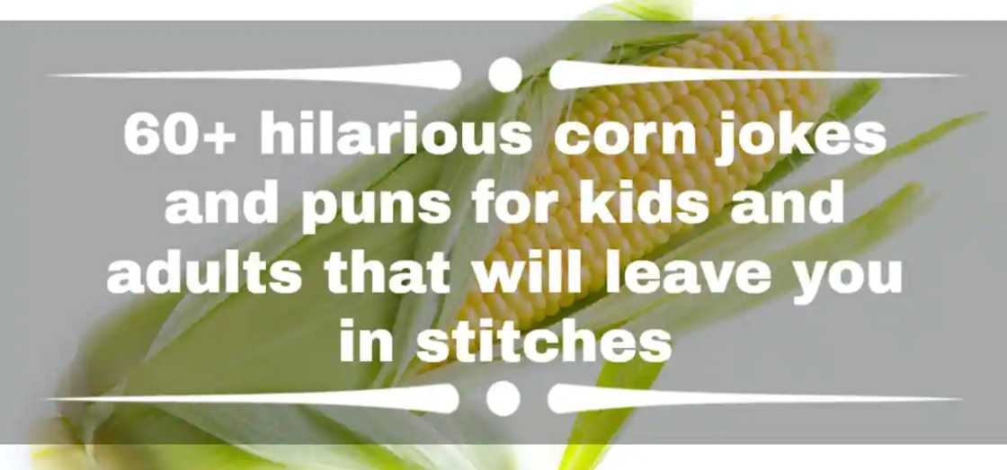 corn jokes