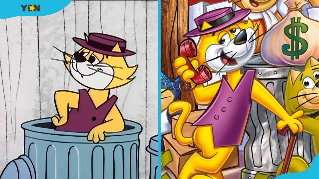 Top Cat (TC) in a dustbin and on phone