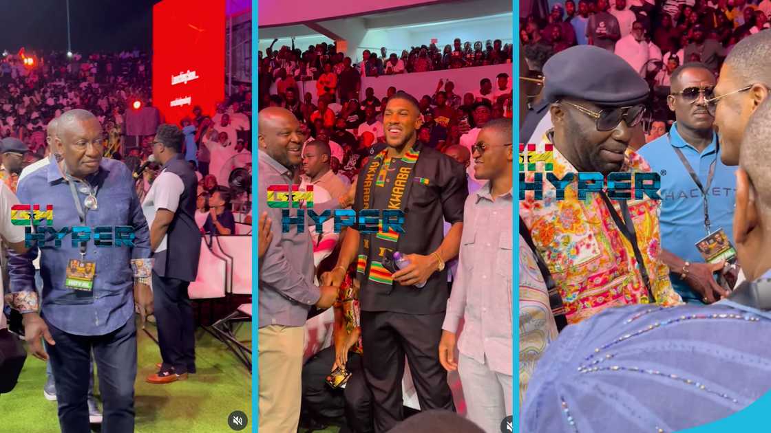 Dr Ofori Sarpong, Ibrahim Mahama, Dr Osei Kwame Despite, Anthony Joshua and Sharaf Mahama, President John Dramani Mahama, Farida Mahama Dr Ofori Sarpong, Ibrahim Mahama, Dr Osei Kwame Despite, Anthony Joshua and Sharaf Mahama, President John Dramani Mahama, Farida Mahama