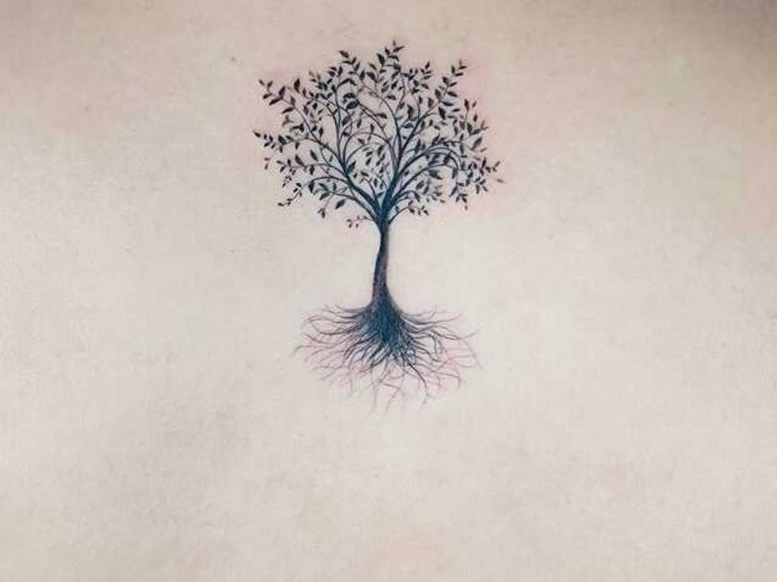 tree of life tattoo ideas tree of life tattoo ideas