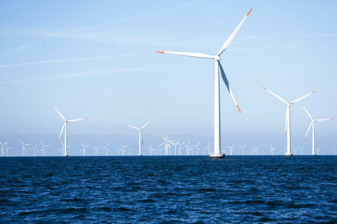 President Donald Trump, who has repeatedly criticised wind energy, has rattled off a series of orders blocking climate-friendly wind power projects since returning to office President Donald Trump, who has repeatedly criticised wind energy, has rattled off a series of orders blocking climate-friendly wind power projects since returning to office