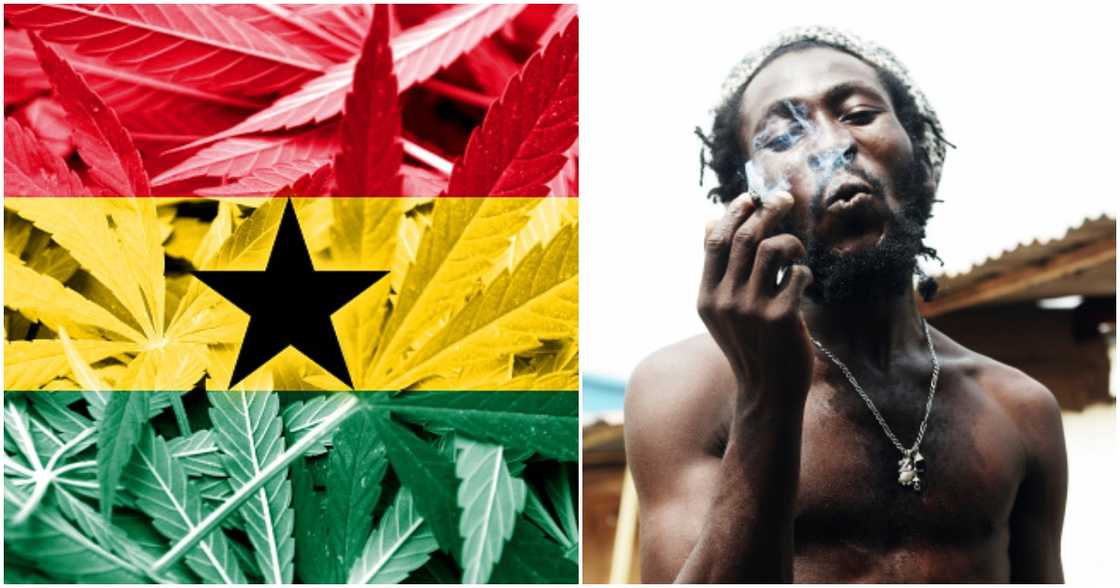 Supreme Court affirms ruling against cultivation of weed in Ghana medicinal purposes. Supreme Court affirms ruling against cultivation of weed in Ghana medicinal purposes.
