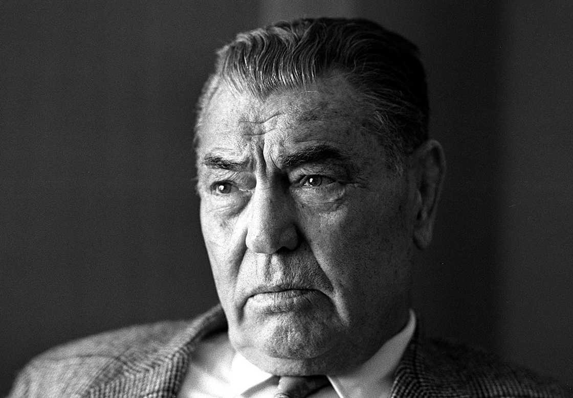 famous boxers famous boxers