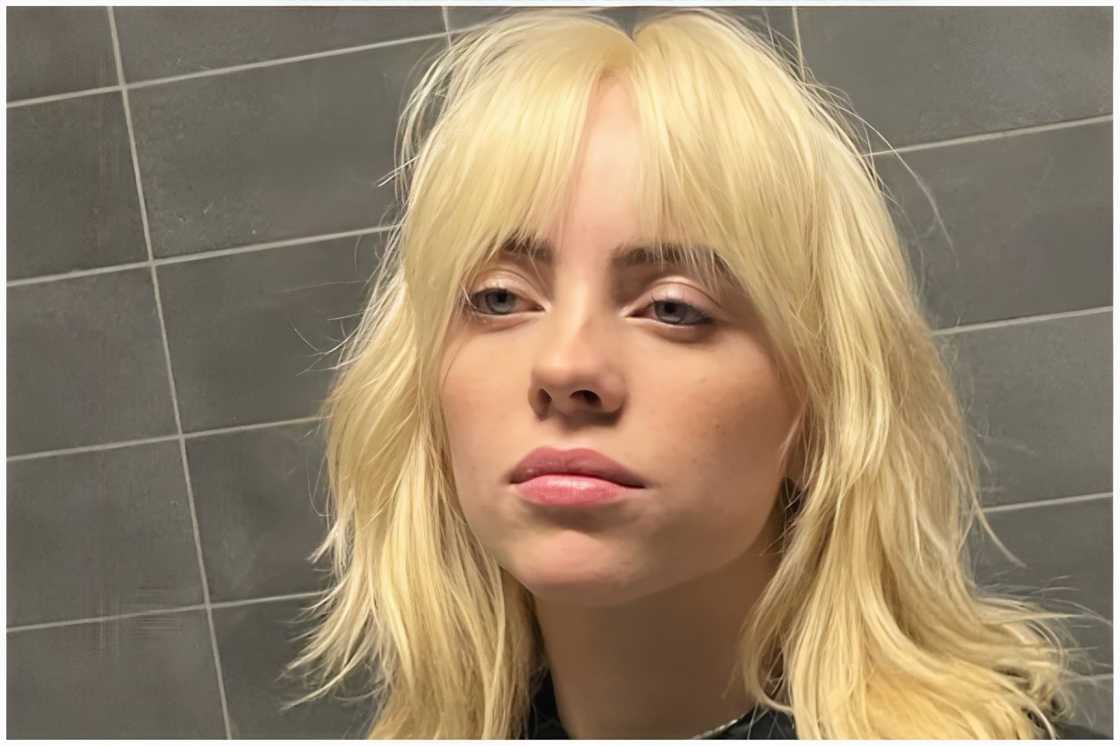 Classic shag hairstyle Classic shag hairstyle