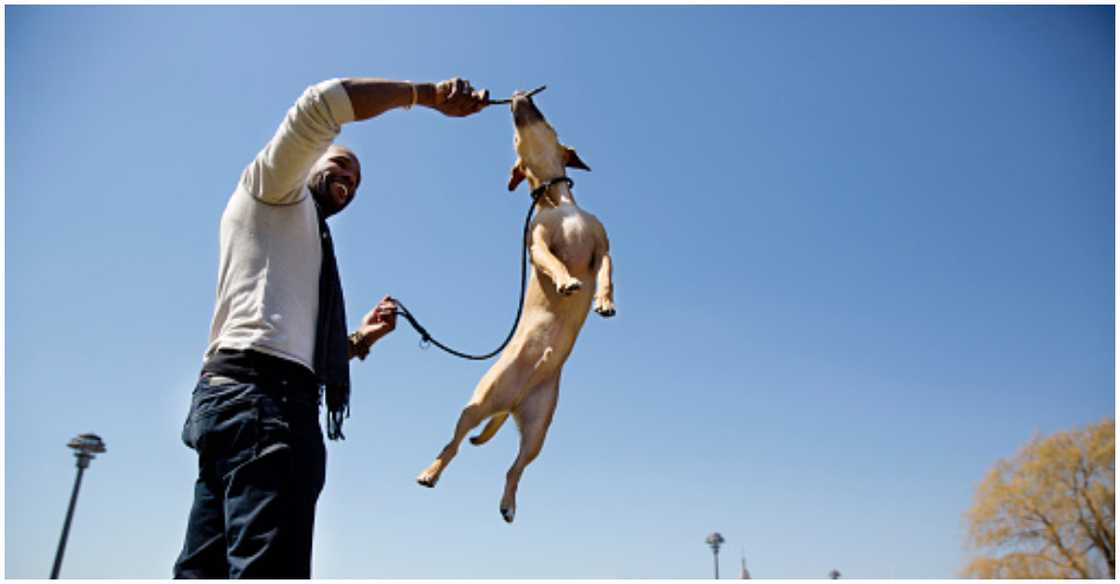 A man training his dog