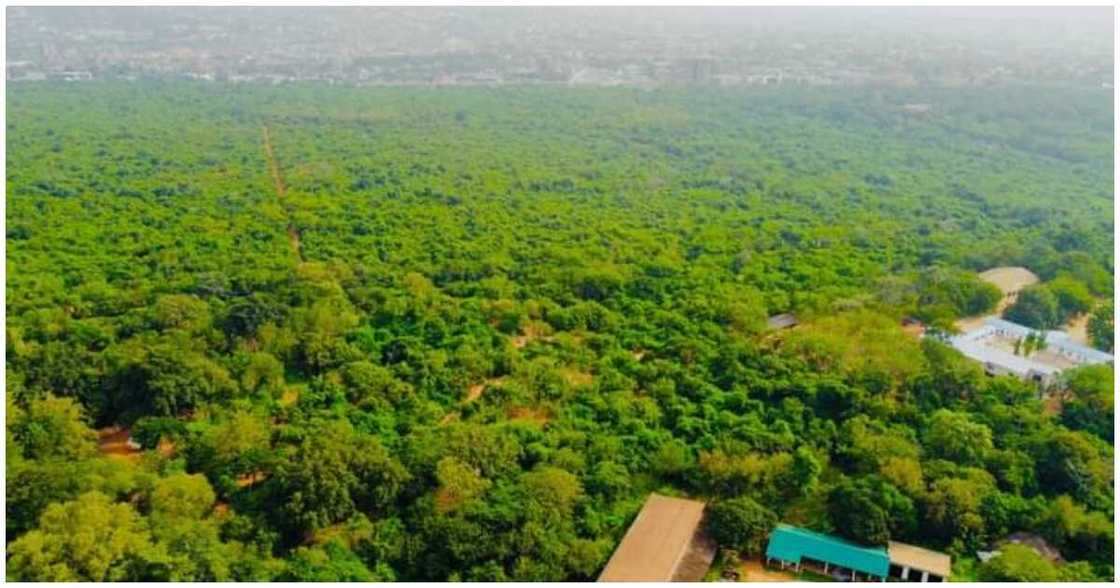 Achimota forest aerial