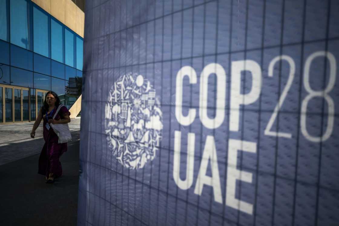 More than 1,100 CEOs and heads of philanthropic organisations were due to take part in COP28 More than 1,100 CEOs and heads of philanthropic organisations were due to take part in COP28