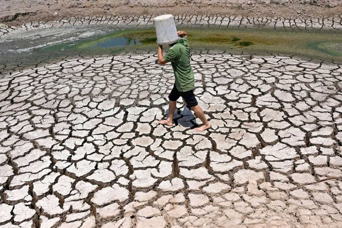 Once lush rice paddies in southern Vietnam now stand cracked and dry amid a blazing heatwave Once lush rice paddies in southern Vietnam now stand cracked and dry amid a blazing heatwave