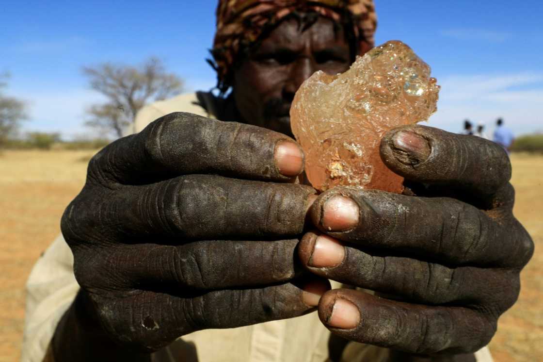 Sudan is the world's largest producer of gum arabic, which is a major source of foreign currency for the northeast African nation Sudan is the world's largest producer of gum arabic, which is a major source of foreign currency for the northeast African nation