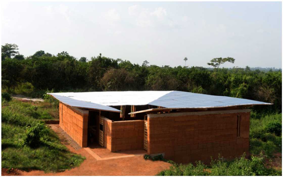 The library in Abetinim