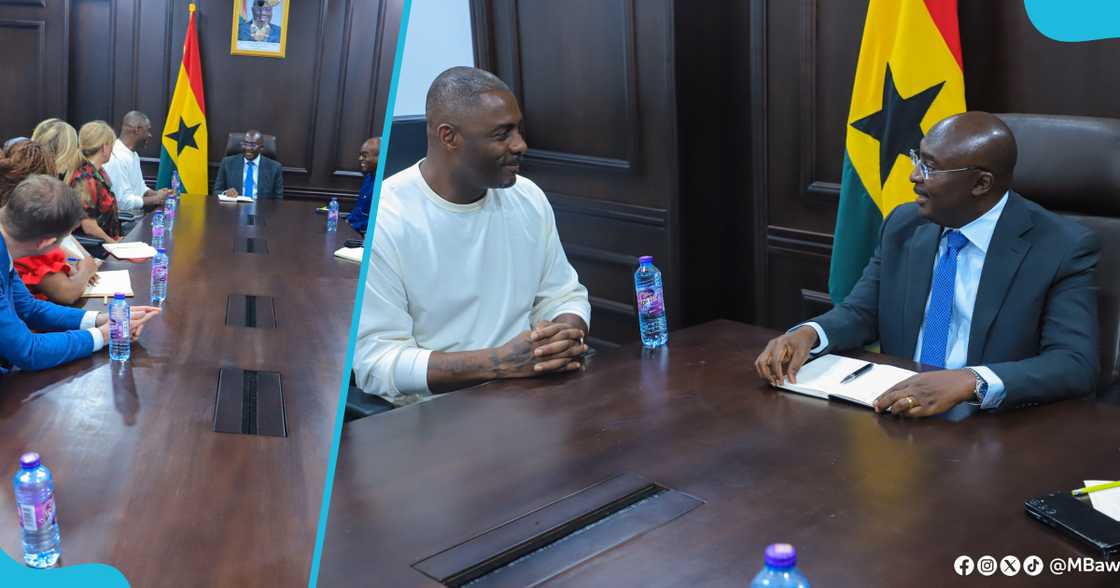 Vice President Mahamadu Bawumia and British actor Idris Elba