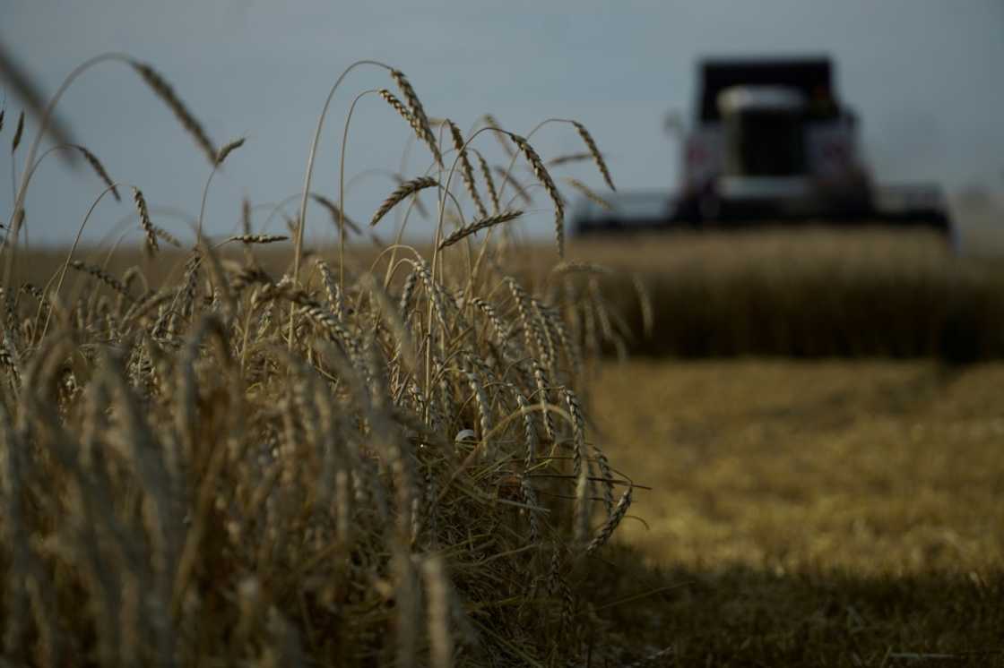 Under World Trade Organization rules, virtually all Russian grain has until now been exempt from EU import duties Under World Trade Organization rules, virtually all Russian grain has until now been exempt from EU import duties