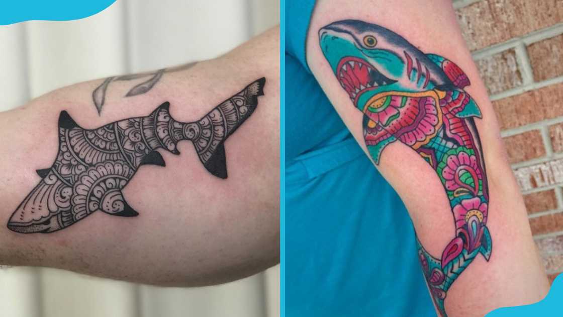 Shark Mandala tattoo Shark Mandala tattoo